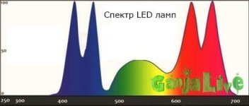 spektr LED.jpg