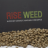 RISEWEED